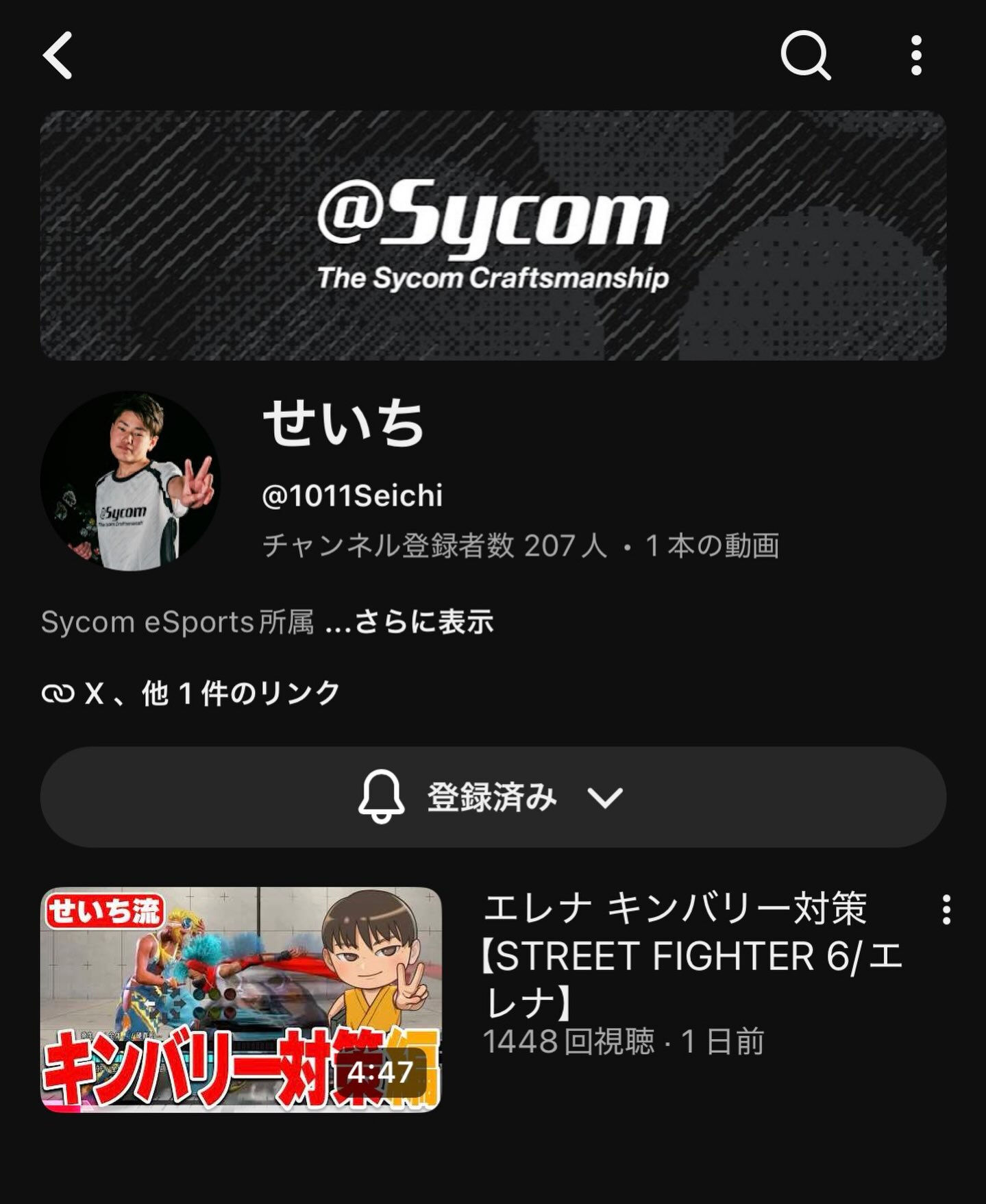 息子のYouTubeチャンネル